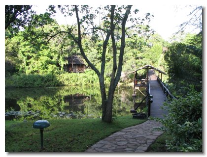 KE 186 - Sarova Camp Pond